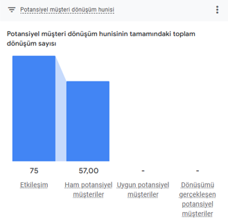 Google Ads Ham Müşteri Listesi