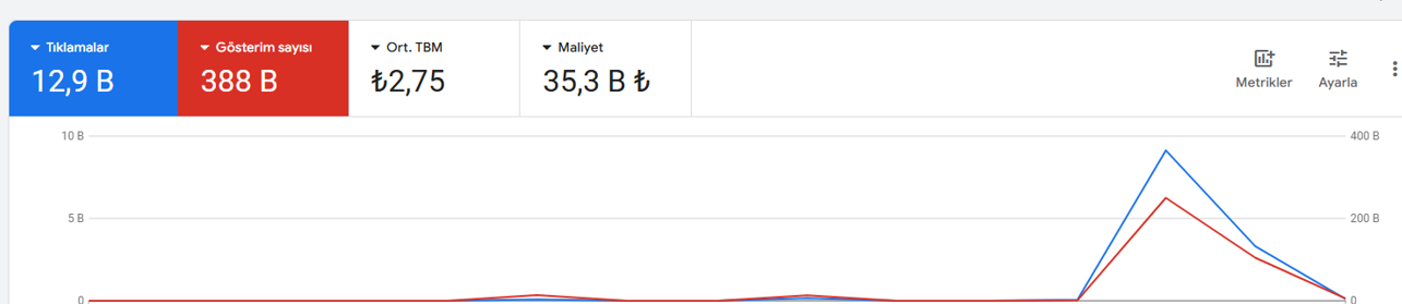 Google Ads Raporu